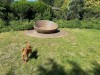 Bild 42
