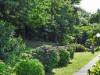 Image 23 - Outside