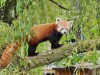 Bild 27 - Ude