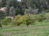 Image 32 - Outside