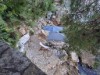 Image 33