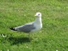Bild 23