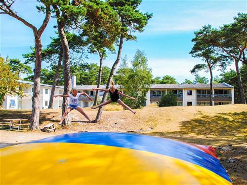 Sommerhus - 2 personer -  - Sirenevej 2, 1. - Dueodde - 3730 - Nexø