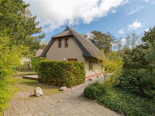 Ferielejlighed - 3 personer -  - An der Nebelstation - 18347 - Wustrow