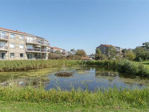 Feriehus / leilighet - 4 personer -  - 1787PM - Julianadorp Aan Zee