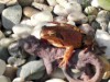 Bild 16