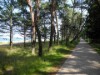 Bild 17