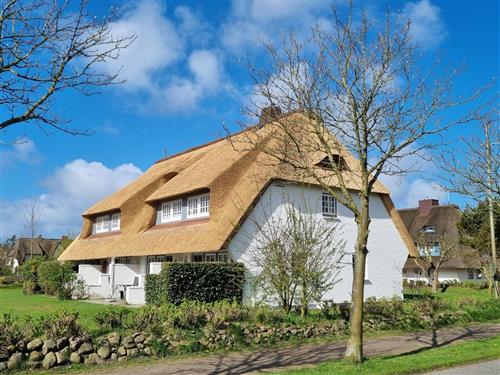 Ferieleilighet - 3 personer -  - Hochstieg - 25938 - Nieblum