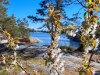 Bild 42 - Ude