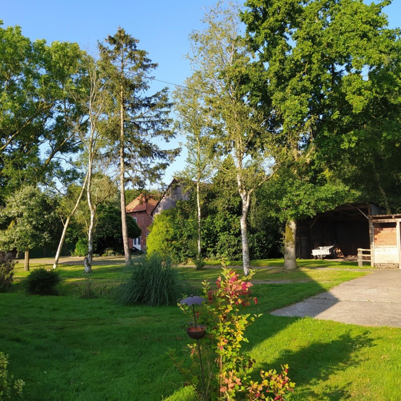 Sommerhus - 4 personer -  - Schoolpatt - 26939 - Ovelgönne