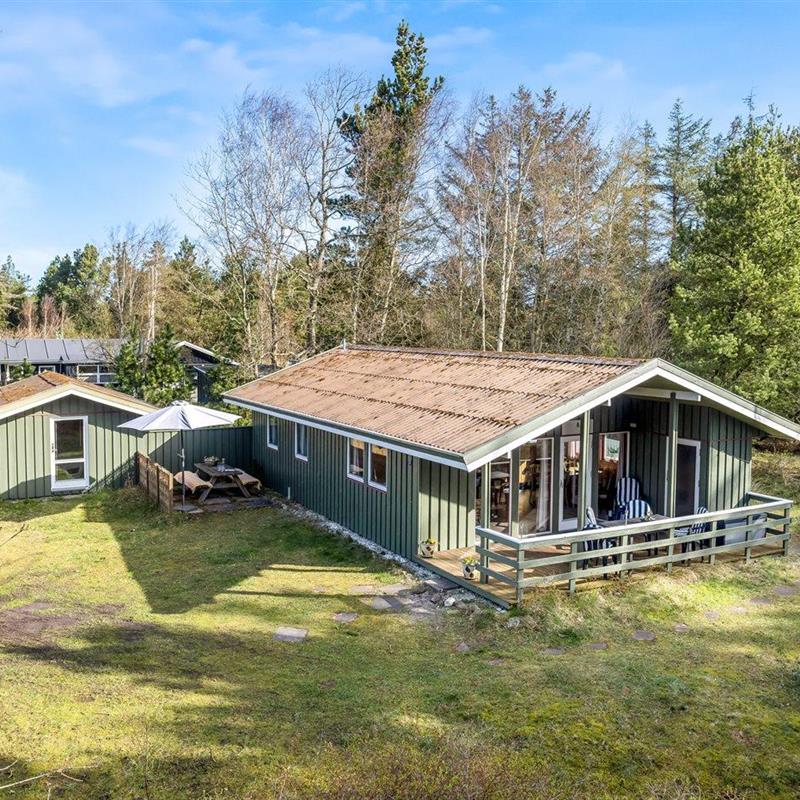 Ferienhaus - 6 Personen -  - Multebærvej - Aalbæk - 9981 - Jerup