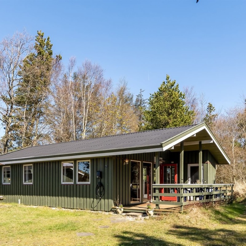 Ferienhaus - 6 Personen -  - Multebærvej - Aalbæk - 9981 - Jerup