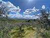Bild 38