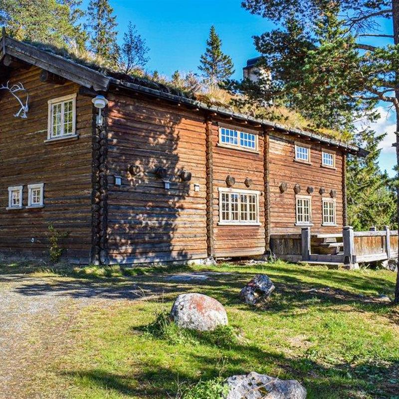 Sommerhus - 17 personer -  - Haddlandsvegen - 3864 - Rauland