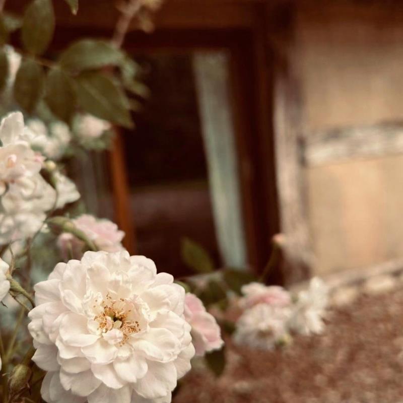 Sommerhus - 2 personer -  - Donstorf - 49406 - Eydelstedt