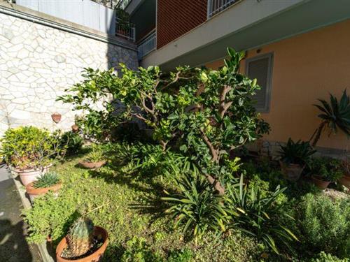 Holiday Home/Apartment - 6 persons -  - 18014 - Ospedaletti