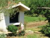 Image 23