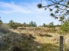 Bilde 18 - Område