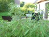 Bild 14
