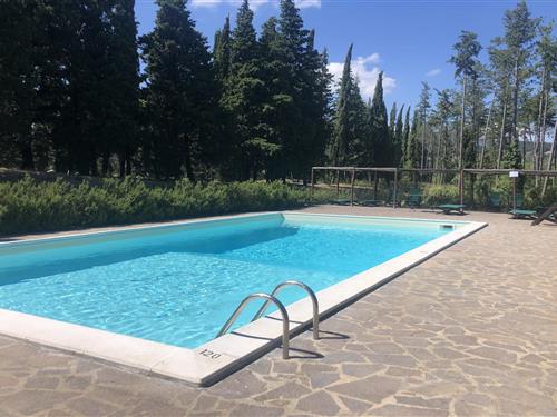 Feriehus / leilighet - 4 personer -  - 52031 - Anghiari