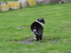 Bild 14