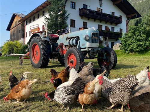 Ferielejlighed - 4 personer -  - Achenseestraße - 6215 - Achenkirch