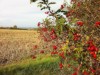 Bild 22