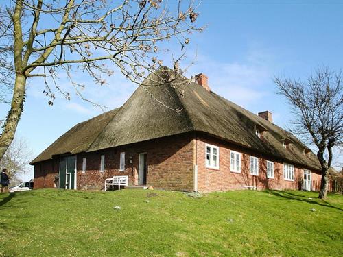 Sommerhus - 4 personer -  - 25899 - Dagebüll