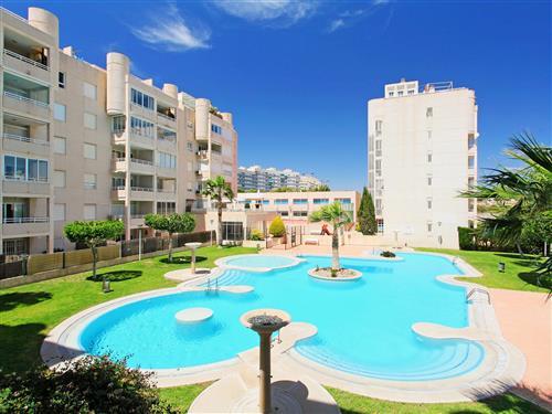 Holiday apartment - 4 persons -  - El Campello/Villajoyosa - 03560