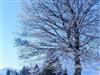 Bild 56