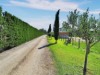 Billede 24