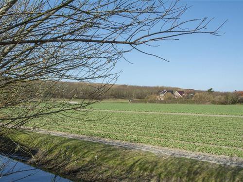 Sommerhus - 4 personer -  - 1787PM - Julianadorp Aan Zee