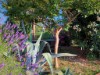 Image 13 - Outside
