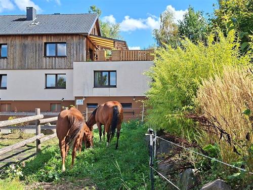 Holiday apartment - 6 persons -  - Öttgesborn - 57581 - Katzwinkel