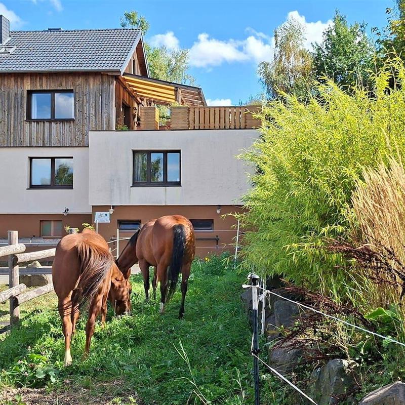 Ferielejlighed - 6 personer -  - Öttgesborn - 57581 - Katzwinkel