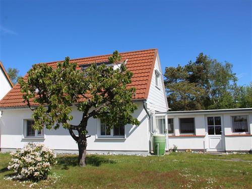 Holiday Home/Apartment - 4 persons -  - Plogshagen - 18565 - Hiddensee