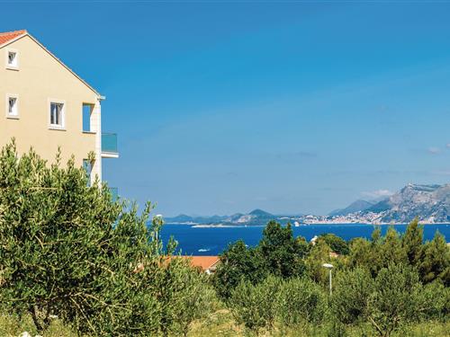 Ferienwohnung - 2 Personen -  - Put od Cavtata - 20210 - Cavtat