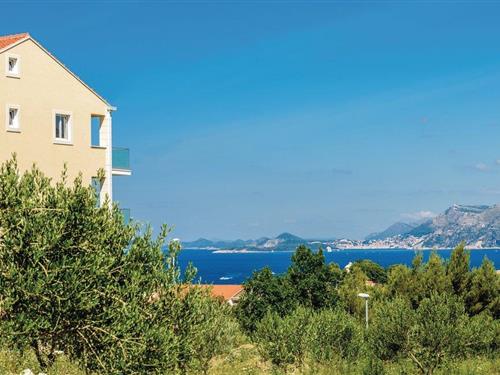 Ferielejlighed - 2 personer -  - Put od Cavtata - 20210 - Cavtat