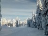 Bild 20