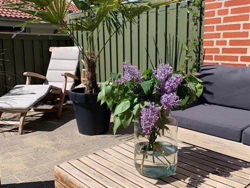 Ferienhaus - 6 Personen -  - Kirkehøjvej 34 - Bork Havn - 6893 - Hemmet Strand