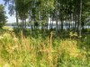 Bilde 41 - Inne