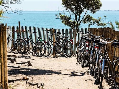 Ferielejlighed - 4 personer -  - 85330 - Noirmoutier En L'ile