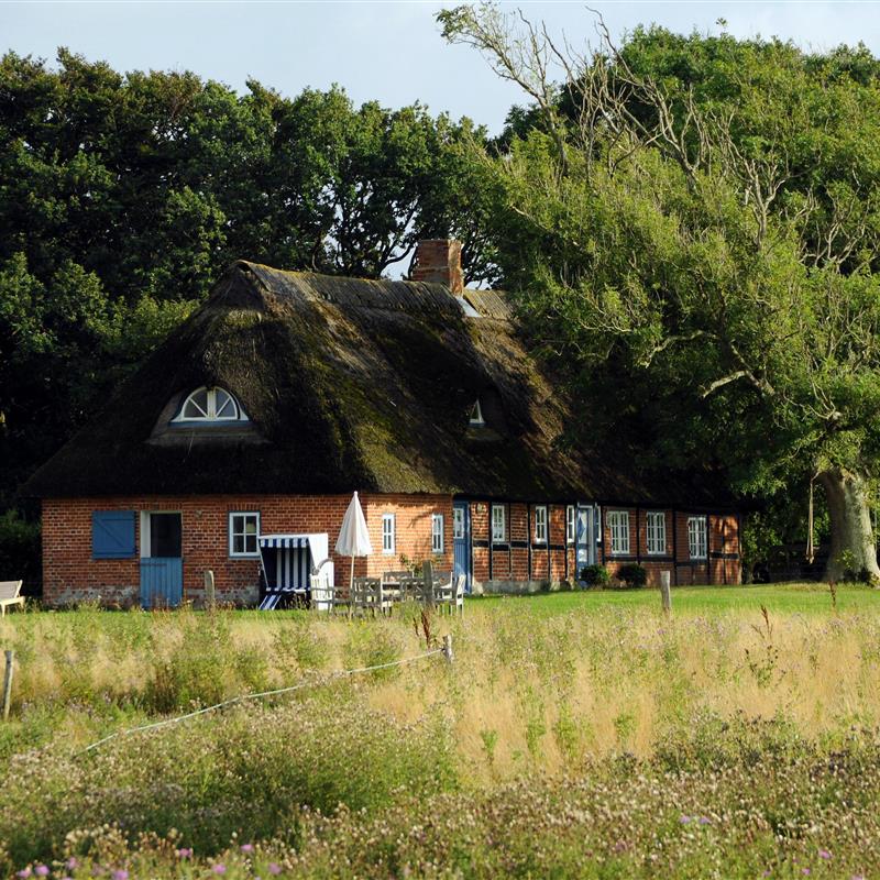 Sommerhus - 10 personer -  - Beveroe - 24395 - Nieby