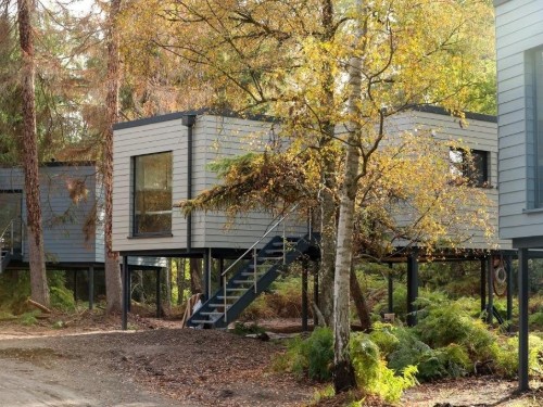Ferienhaus - 4 Personen -  - Tierparkstraße - 49419 - Wagenfeld