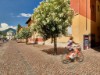 Bild 20