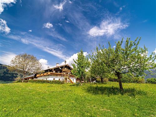 Ferienhaus - 4 Personen -  - Breitenbergham - 5760 - Saalfelden Am Steinernen