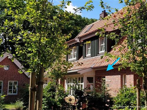 Sommerhus - 3 personer -  - Noorderloog - 26474 - Spiekeroog