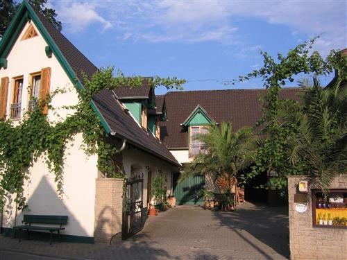 Ferieleilighet - 4 personer -  - Georg-Amend-Str. - 67167 - Erpolzheim