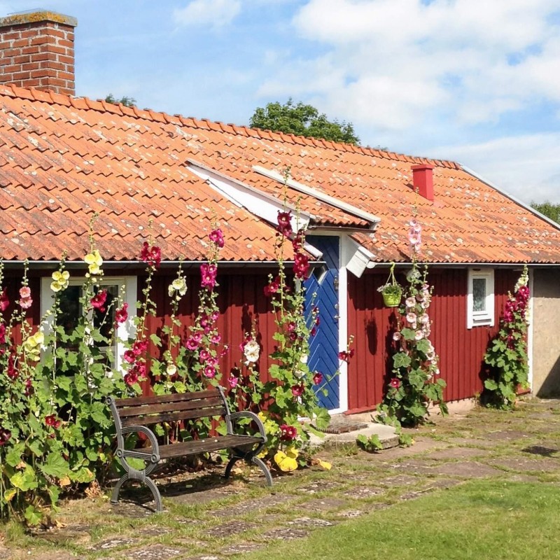  - 4 personer -  - Vickleby - Vickleby - 38693 - Färjestaden