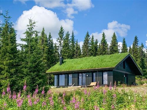 Feriehus - 8 personer -  - Bekkjedalen - Hafjell - 2636 - Øyer